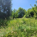 Réf 2663 DAMPIERRE SOUS BOUHY