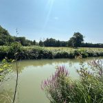 Réf 2309   SAINT AMAND EN PUISAYE Réf 2309   SAINT AMAND EN PUISAYE