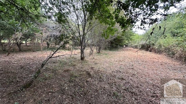 Réf 2308 TREIGNY Réf 2308 TREIGNY