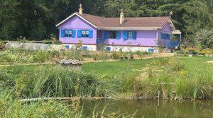 Réf 2309 SAINT AMAND EN PUISAYE