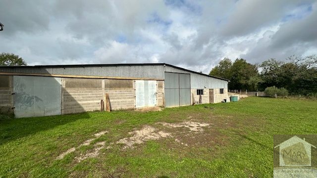 Réf 2306  TREIGNY Réf 2306  TREIGNY