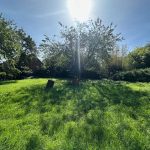 Réf 2310  BITRY Réf 2310  BITRY