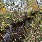 Réf 2311 ARQUIAN Réf 2311 ARQUIAN