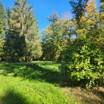 Réf 2668 TREIGNY Réf 2668 TREIGNY