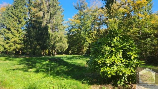 Réf 2668 TREIGNY Réf 2668 TREIGNY