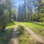 Réf 2668 TREIGNY Réf 2668 TREIGNY