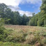 Réf 2312 SAINT AMAND EN PUISAYE