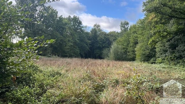 Réf 2312 SAINT AMAND EN PUISAYE