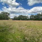 Réf 2239 DAMPIERRE SOUS BOUHY Réf 2239 DAMPIERRE SOUS BOUHY