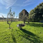 Réf 2316 BITRY Réf 2316 BITRY