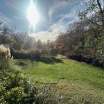 Réf 2312 SAINT AMAND EN PUISAYE Réf 2312 SAINT AMAND EN PUISAYE