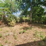 Réf 2669 Secteur Saint Amand en Puisaye Réf 2669 Secteur Saint Amand en Puisaye