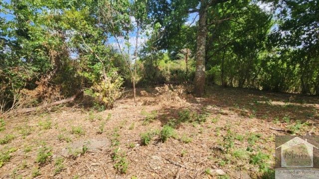 Réf 2669 Secteur Saint Amand en Puisaye Réf 2669 Secteur Saint Amand en Puisaye