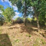 Réf 2669 Secteur Saint Amand en Puisaye Réf 2669 Secteur Saint Amand en Puisaye