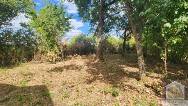 Réf 2669 Secteur Saint Amand en Puisaye Réf 2669 Secteur Saint Amand en Puisaye