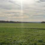 Réf 2320 BOUHY Réf 2320 BOUHY