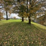 Réf 2320 BOUHY Réf 2320 BOUHY