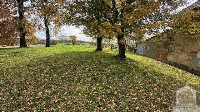 Réf 2320 BOUHY Réf 2320 BOUHY