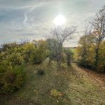 Réf 2320 BOUHY Réf 2320 BOUHY