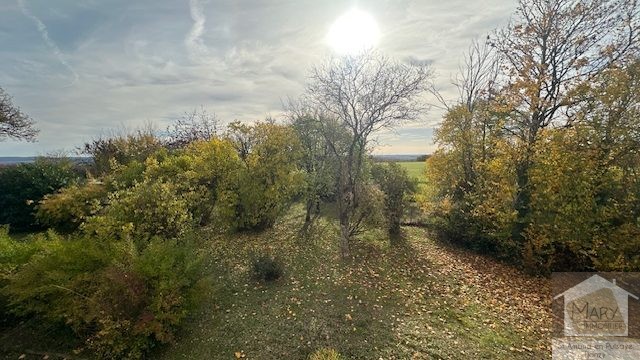 Réf 2320 BOUHY Réf 2320 BOUHY