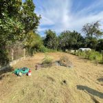 Réf 2095   DAMPIERRE SOUS BOUHY