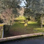 Réf 2323 SAINT AMAND EN PUISAYE Réf 2323 SAINT AMAND EN PUISAYE