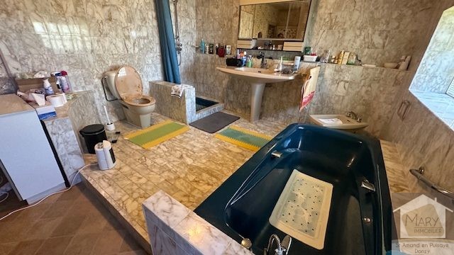 Réf 2338 SAINT SAUVEUR EN PUISAYE