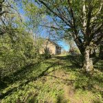 Réf 2338 SAINT SAUVEUR EN PUISAYE