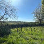 Réf 2336 DAMPIERRE SOUS BOUHY