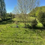 Réf 2336 DAMPIERRE SOUS BOUHY