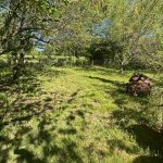 Réf 2336 DAMPIERRE SOUS BOUHY