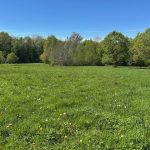 Réf 2337  SAINT SAUVEUR EN PUISAYE