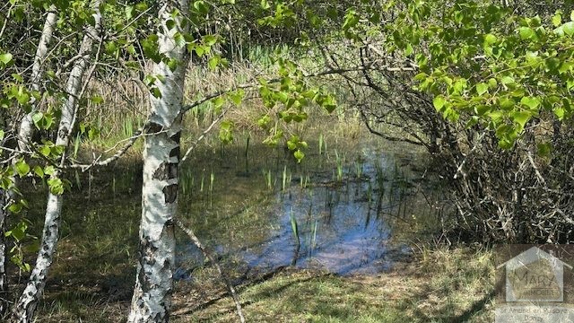 Réf 2337  SAINT SAUVEUR EN PUISAYE