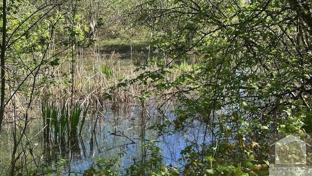 Réf 2337  SAINT SAUVEUR EN PUISAYE