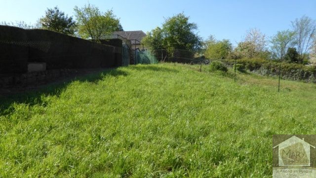 Réf 2354 SAINT AMAND EN PUISAYE