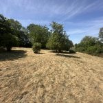 Réf 2355  TREIGNY