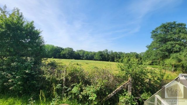 Réf 2674 SAINT AMAND EN PUISAYE