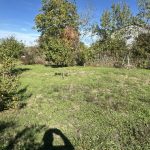 Réf 2365  Secteur Saint Amand en Puisaye